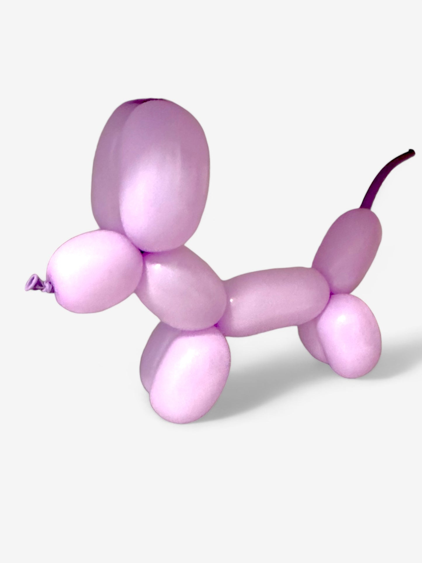 20 stycken - Modelleringsballong i blandade fÀrger