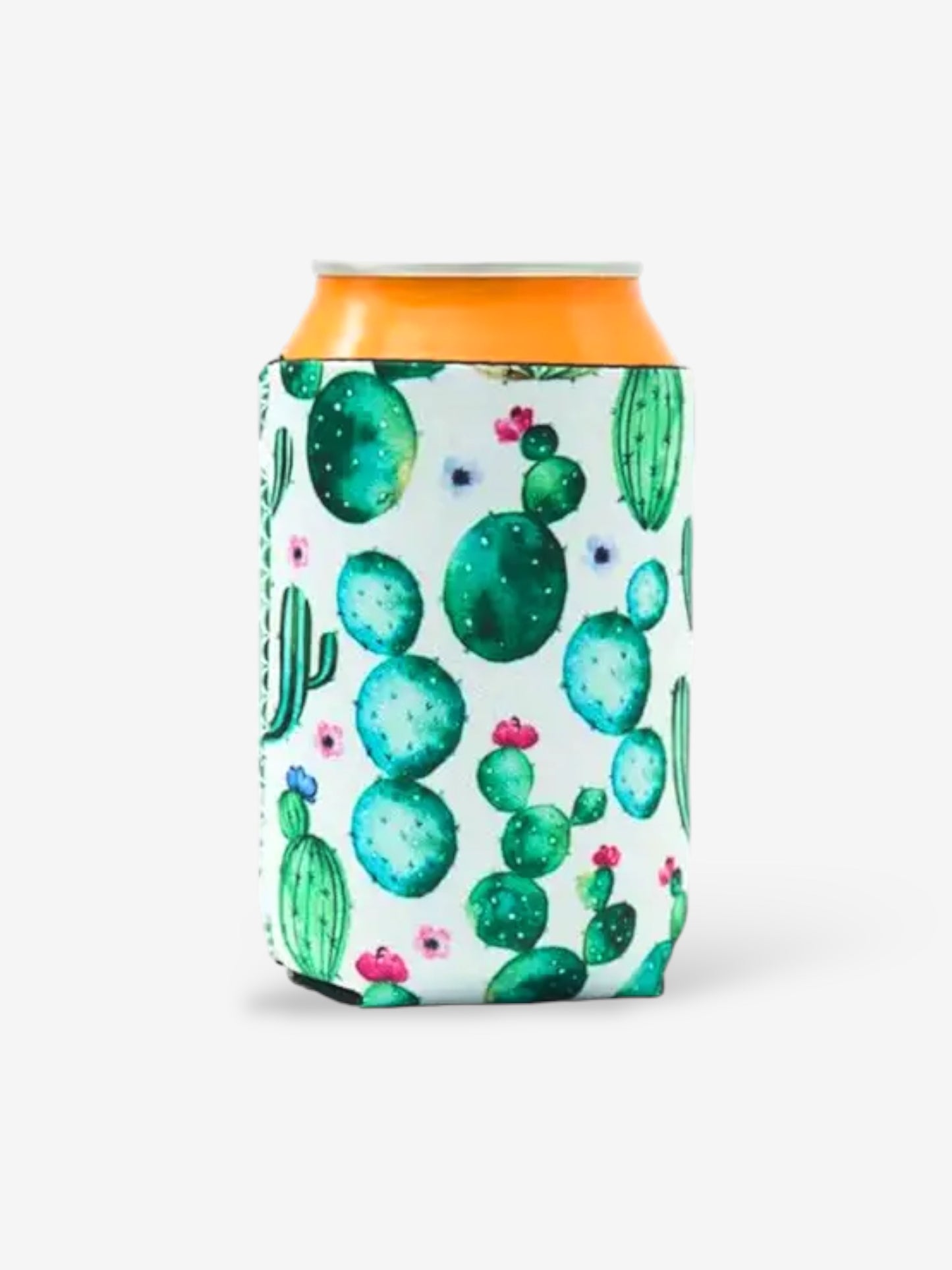 BurkhÄllare & kylare - Kaktus